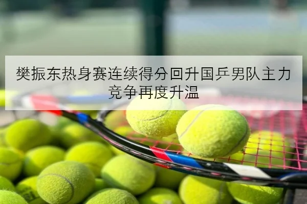 樊振东热身赛连续得分回升国乒男队主力竞争再度升温